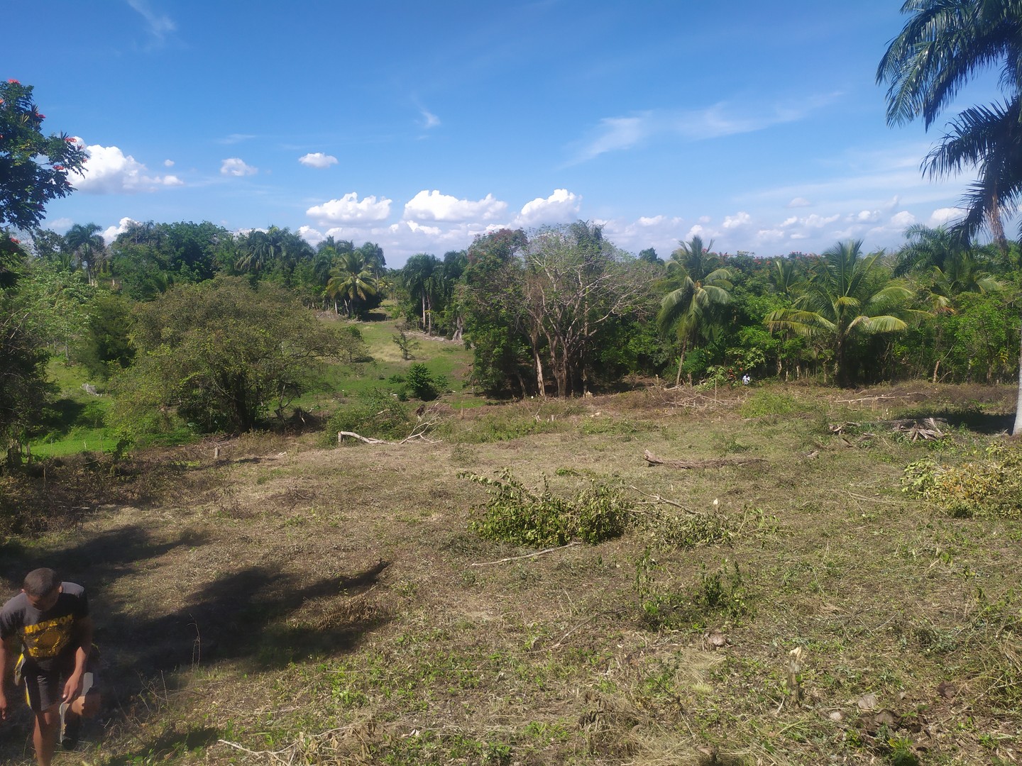solares y terrenos - Vendo propiedad de 10 tareas de tierra con certificado de título 1