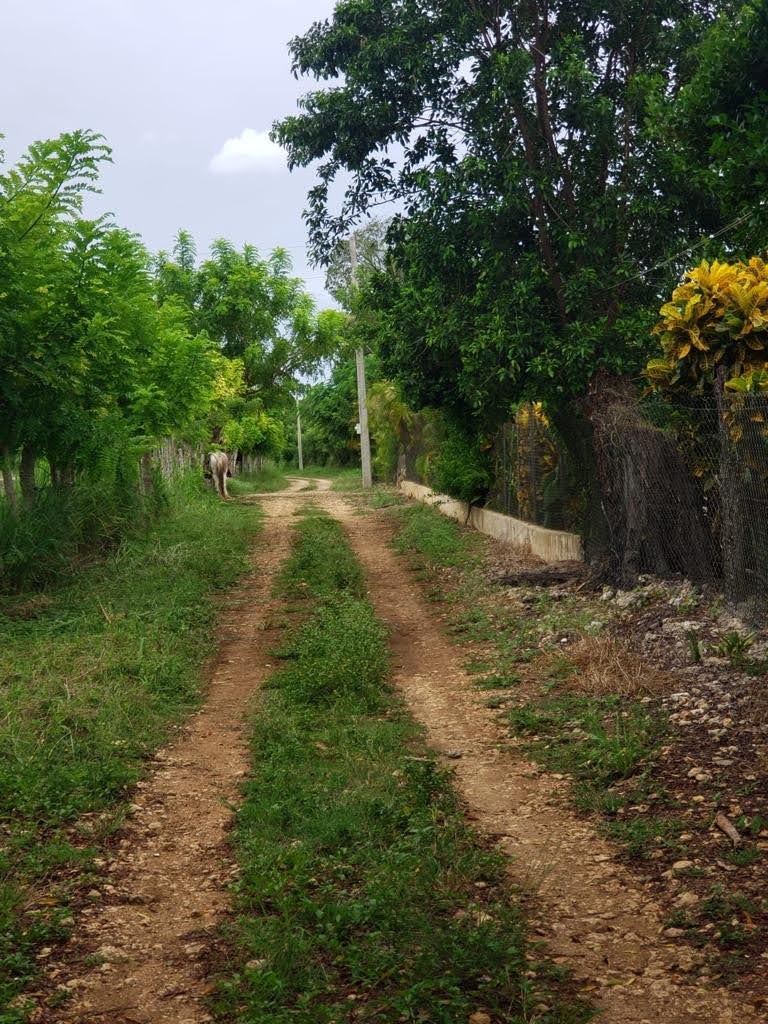 solares y terrenos - Terreno con titulo definitivo en Higüey ideal para cual quiera proyecto 4