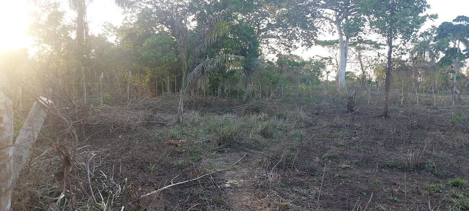 solares y terrenos - Terreno 0