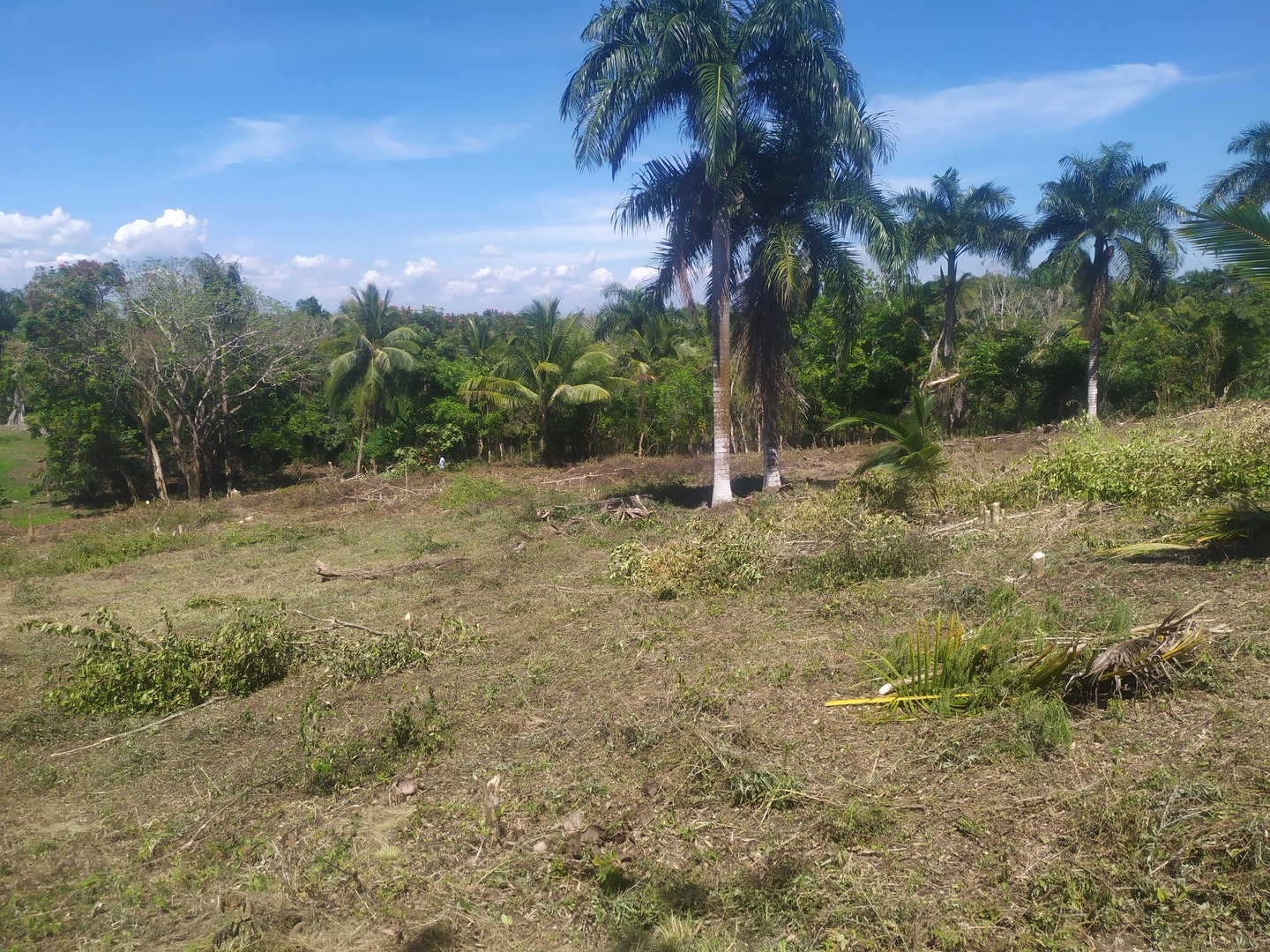 solares y terrenos - Vendo propiedad de 10 tareas de tierra con certificado de título 2