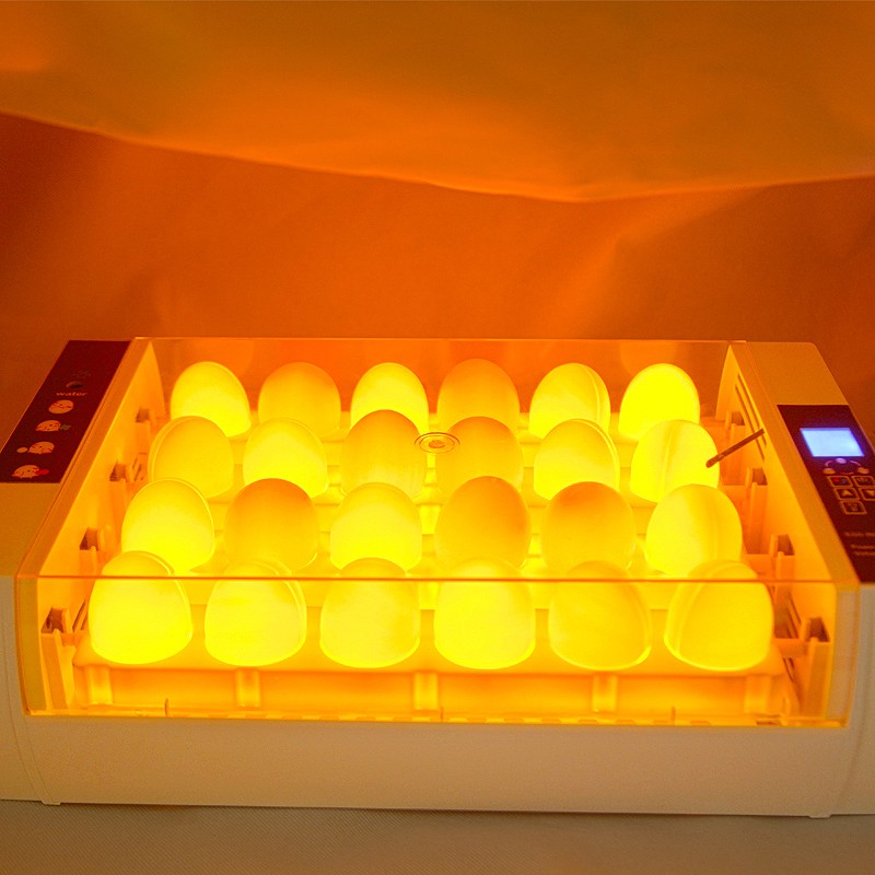 equipos profesionales - Incubadoras de 24 huevos automatico Pollo Pato Aves de corral 6