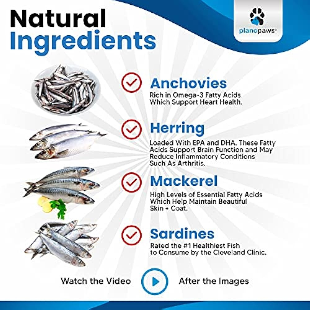 Salud y Equipamiento Médico - Aceite De Pescado Omega 3 Para Perros 4