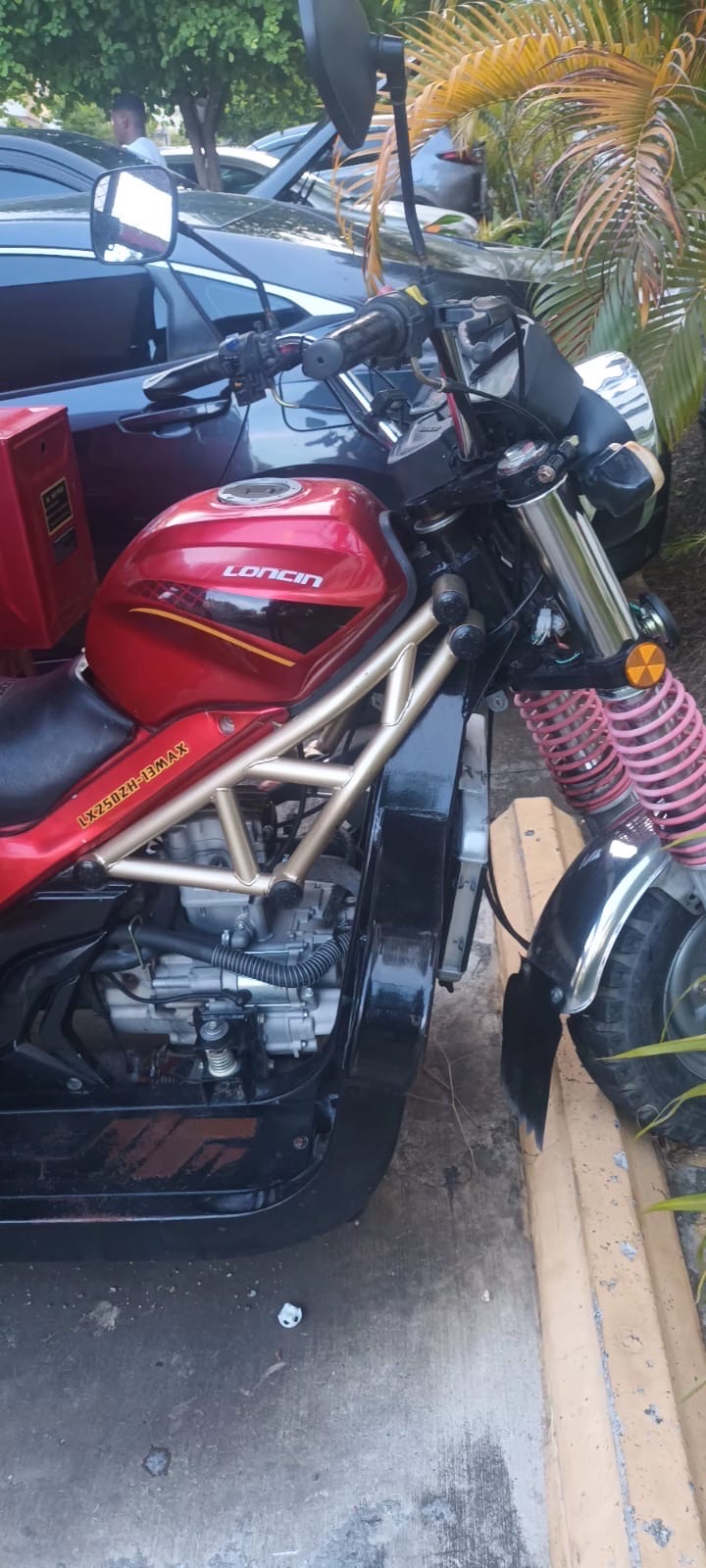 motores y pasolas - motor de carga vorteo loncin 2