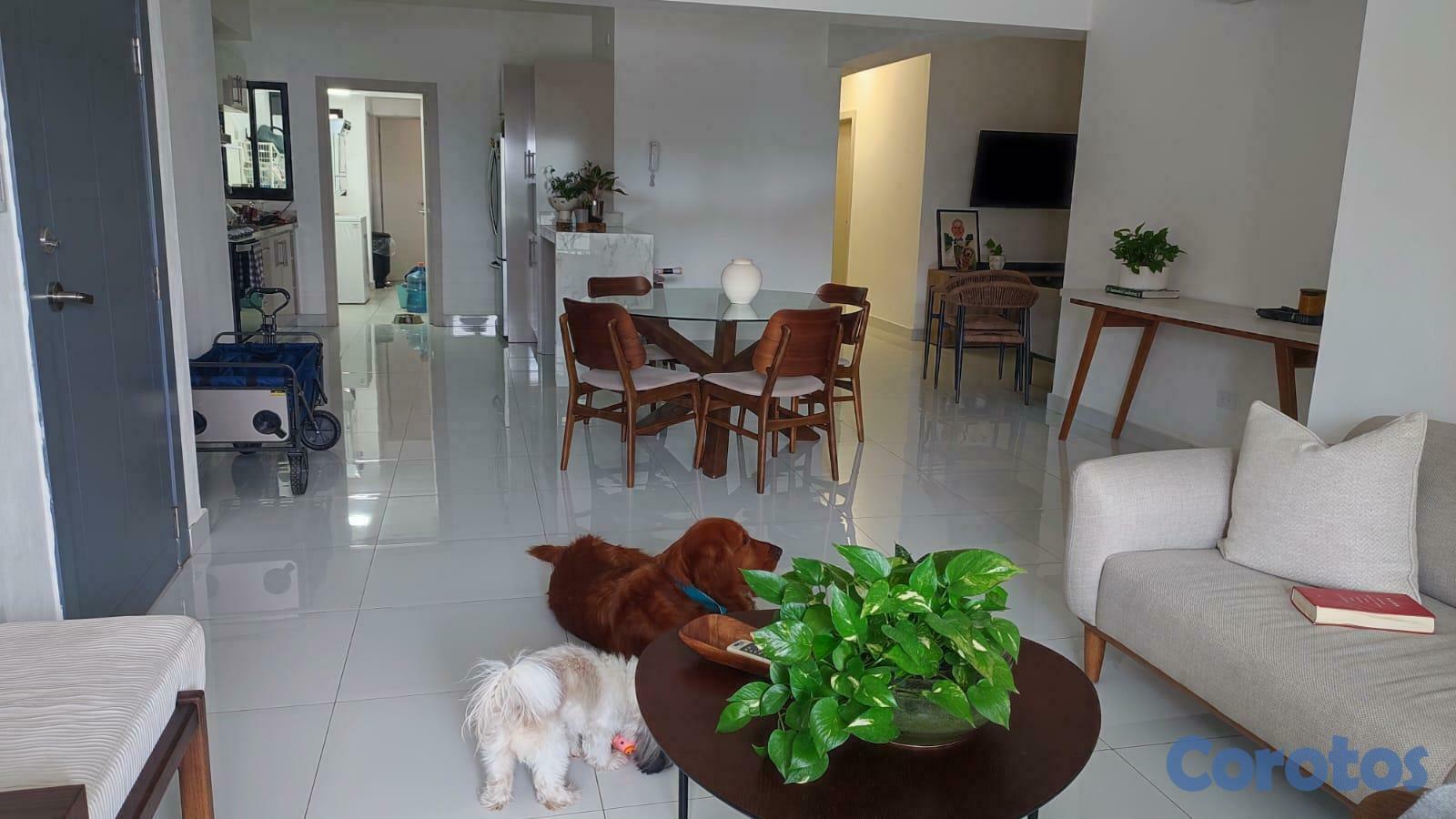 apartamentos - ALQUILER DE APARTAMENTO EN ALTOS DE ARROYO HONDO 7