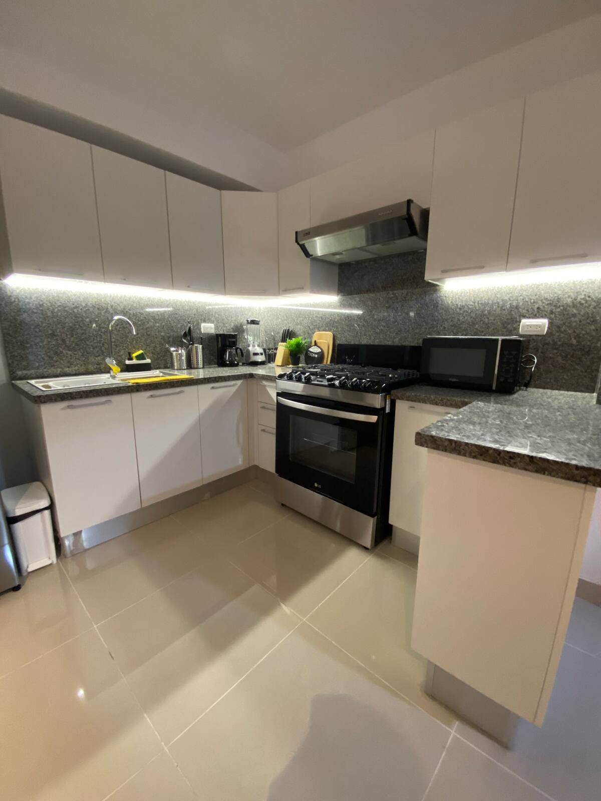 apartamentos - Alquiler apartamento amueblado- Evaristo Morales 0