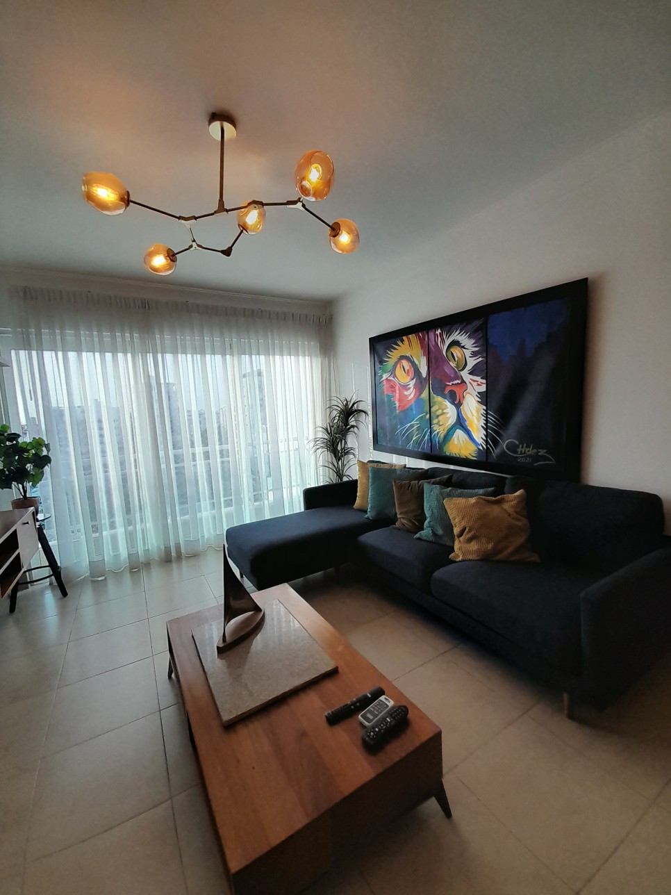 apartamentos - Rento apartamento amueblado en Evaristo Morales 0