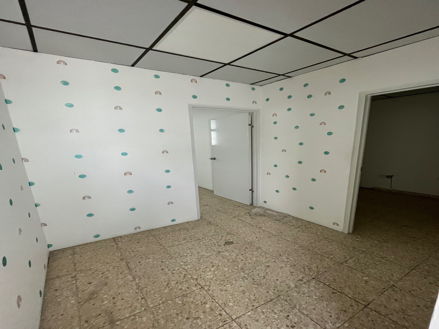 oficinas y locales comerciales - Local comercial en Naco de 268m2 en plaza comercial 5