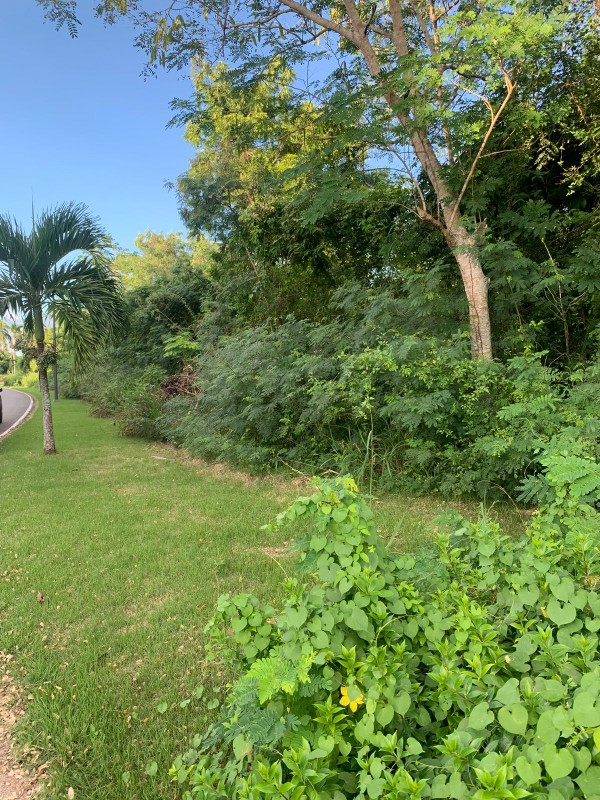 solares y terrenos - Terreno en Venta, en Nueva Romana  4