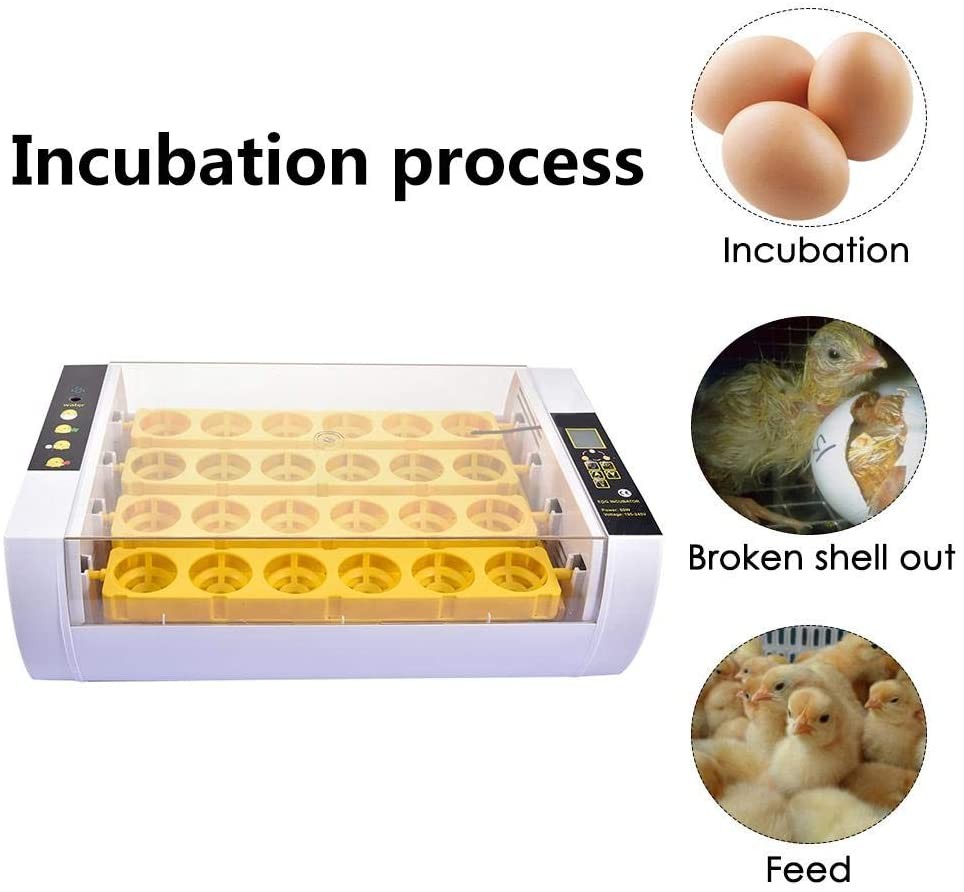equipos profesionales - Incubadoras de 24 huevos automatico Pollo Pato Aves de corral 4