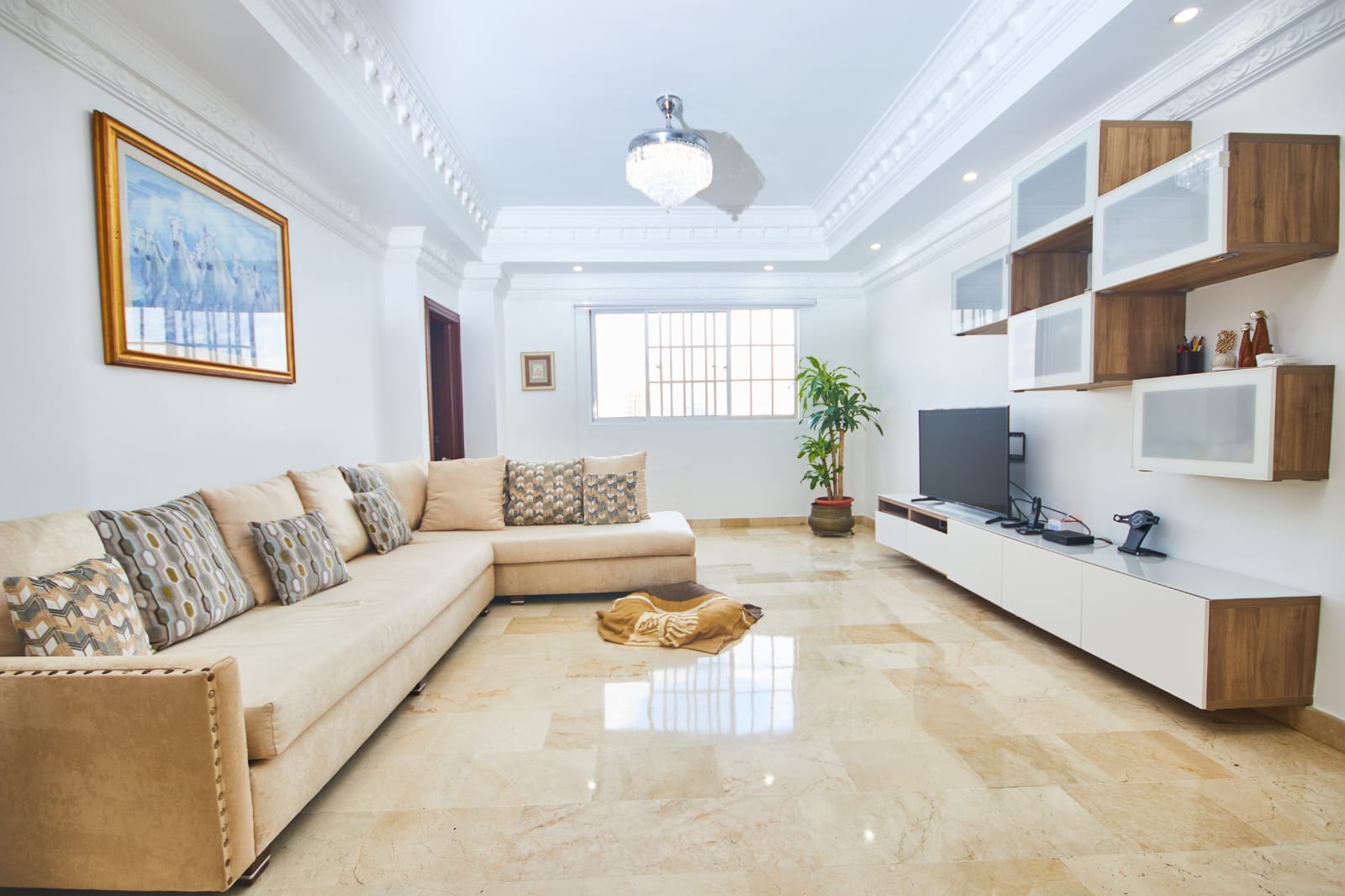 apartamentos - Vendo joya en Bella Vista. Clásico Remodelado