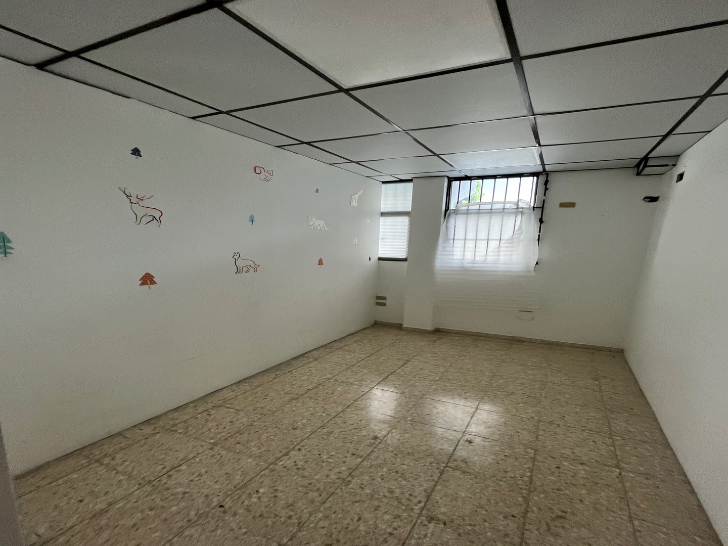 oficinas y locales comerciales - Local comercial en Naco de 268m2 en plaza comercial 6