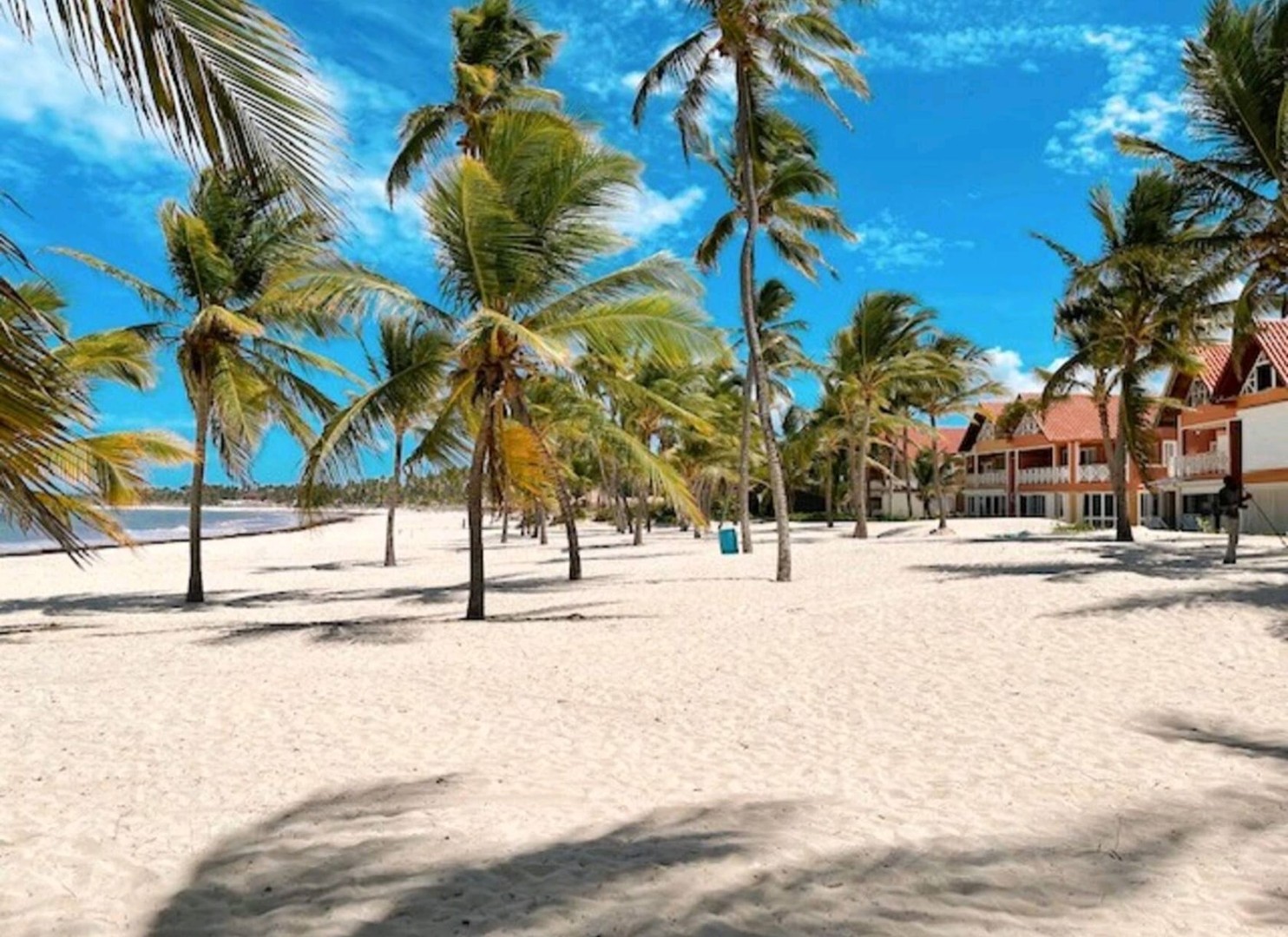 apartamentos - Oportunidad de inversión apartamento amueblado en Punta Cana generando ingresos 3