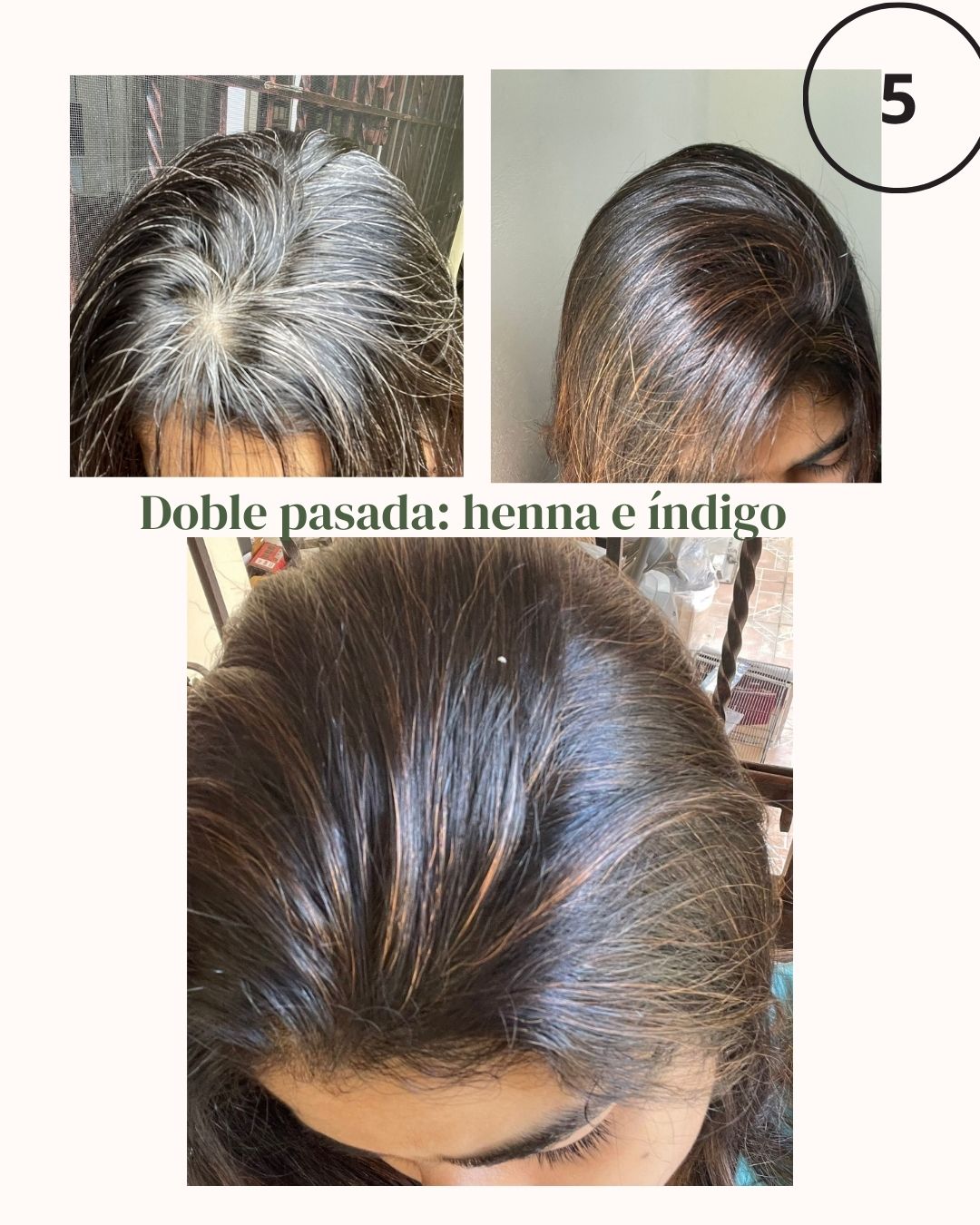 servicios profesionales - Henna: tinte natural  7