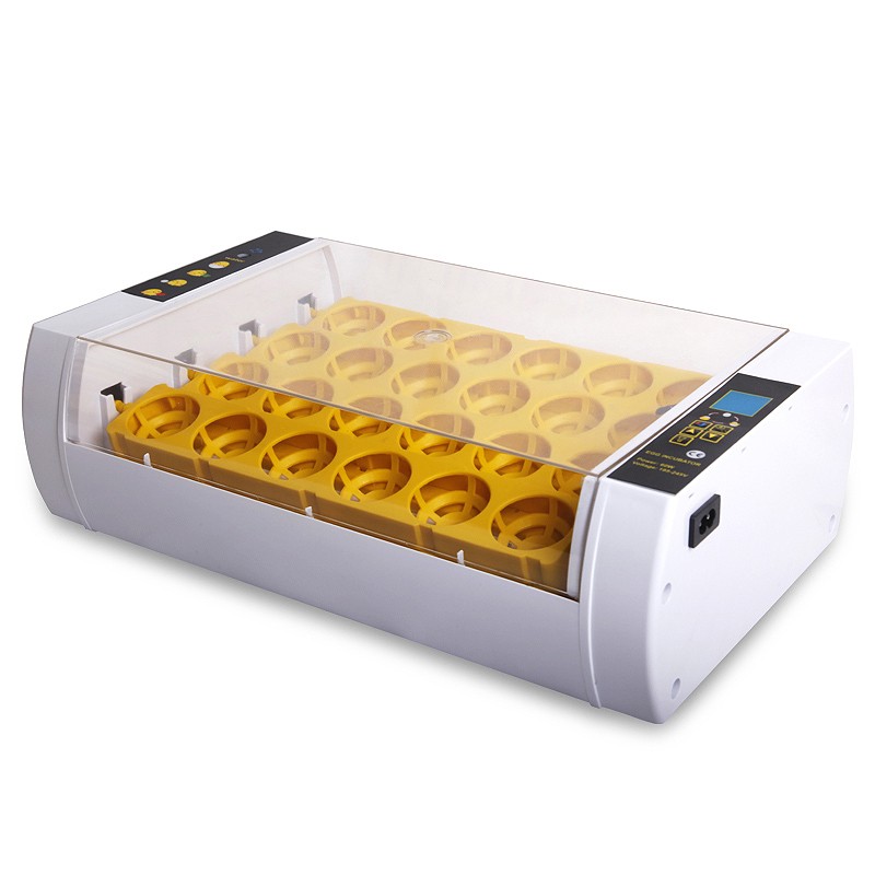 equipos profesionales - Incubadoras de 24 huevos automatico Pollo Pato Aves de corral 7