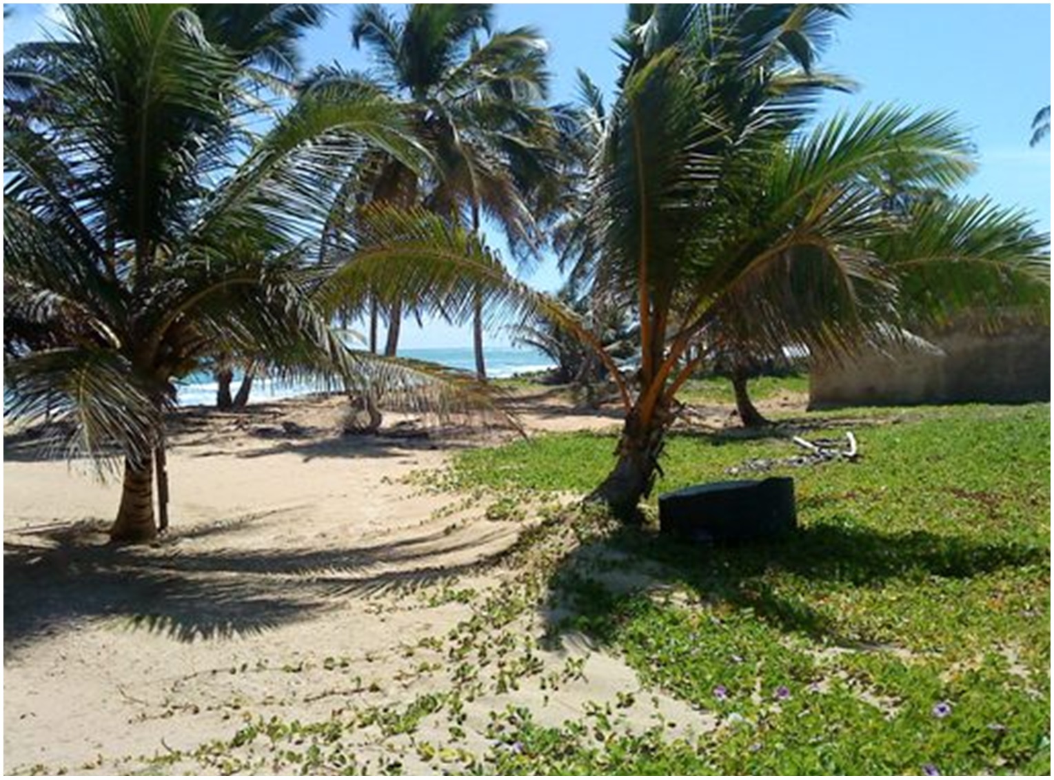 solares y terrenos - TERRENO CON PLAYA EN UVERO ALTO 1.5 MILONES METROS o 900,000 o  600,000, PUNCA C 5
