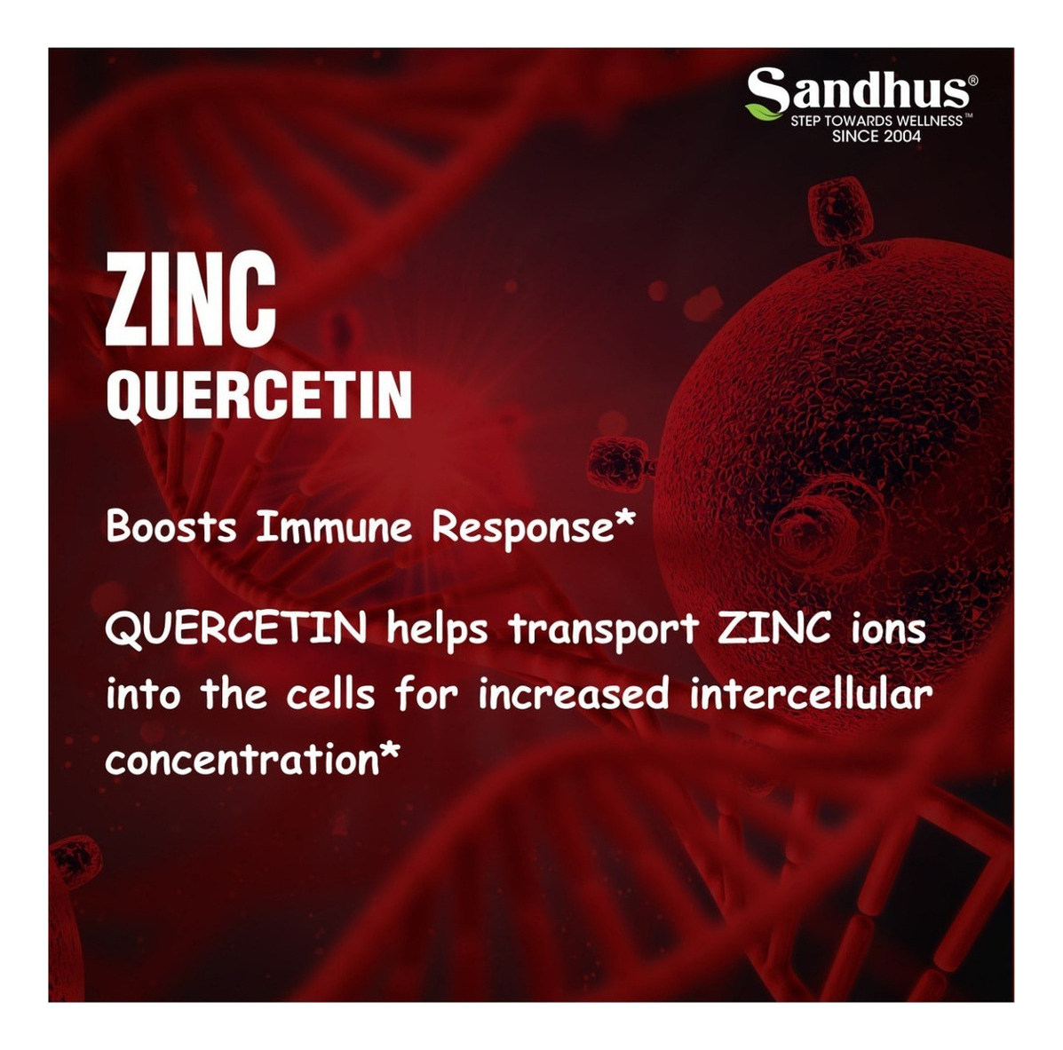 Salud y Equipamiento Médico - Vitamina Zinc + Quercetina Vegetariana 2