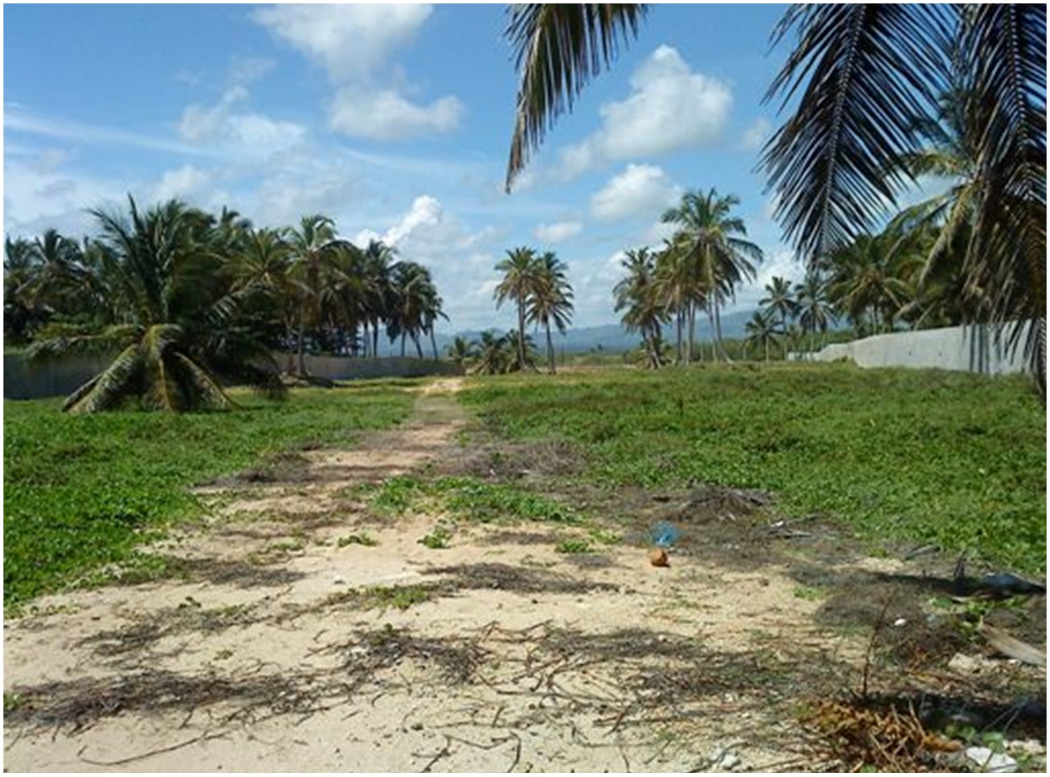 solares y terrenos - TERRENO CON PLAYA EN UVERO ALTO 1.5 MILONES METROS o 900,000 o  600,000, PUNCA C 6