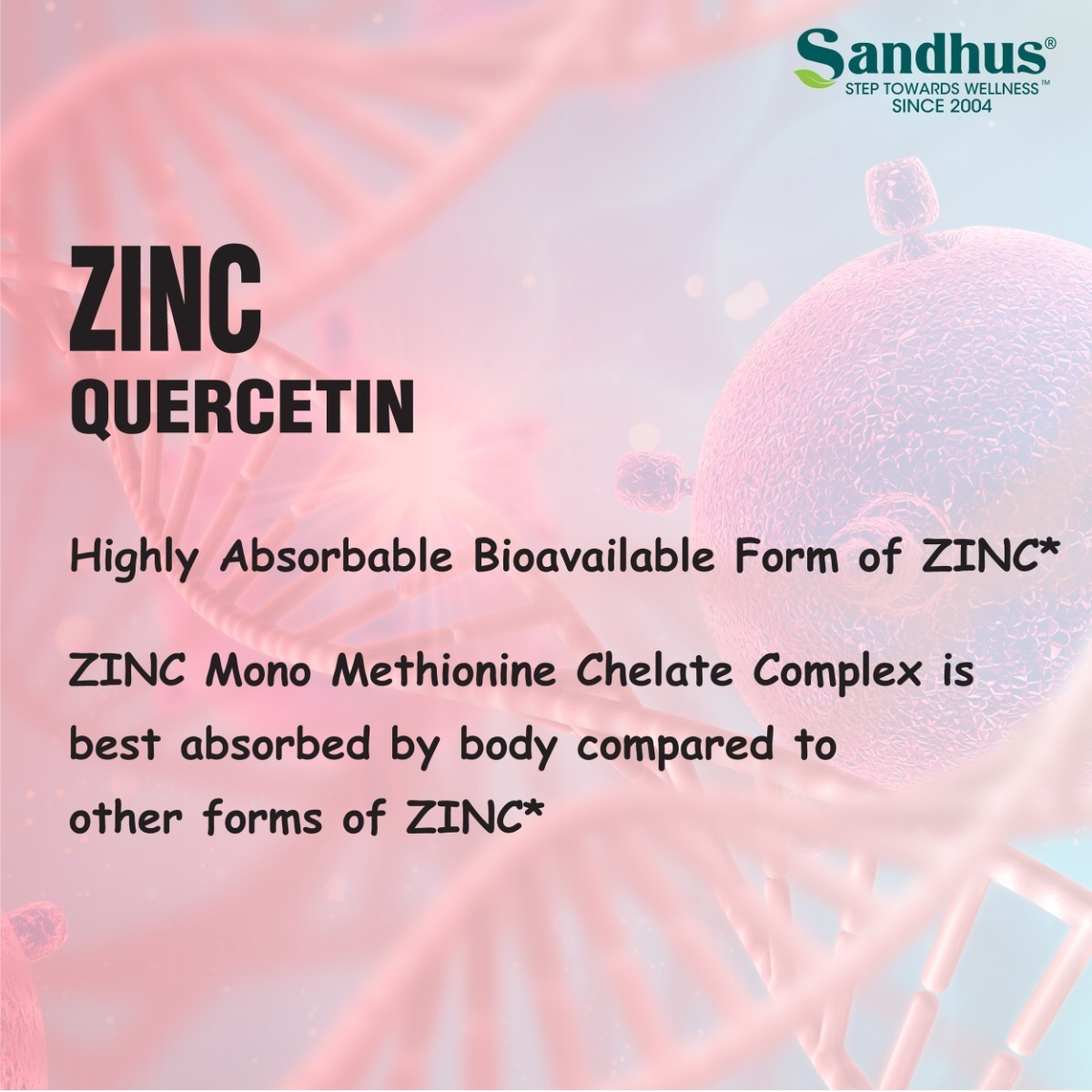 Salud y Equipamiento Médico - Vitamina Zinc + Quercetina Vegetariana 3