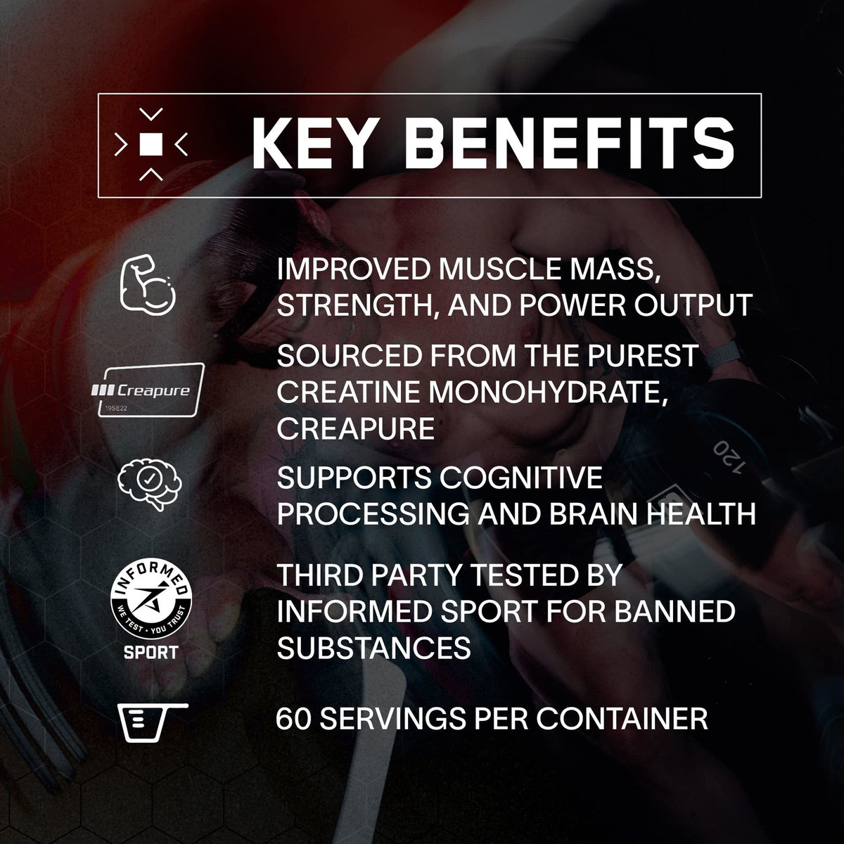 Salud y Equipamiento Médico - Bare Performance Nutrition, Bpn Creatine Monohydrate 2