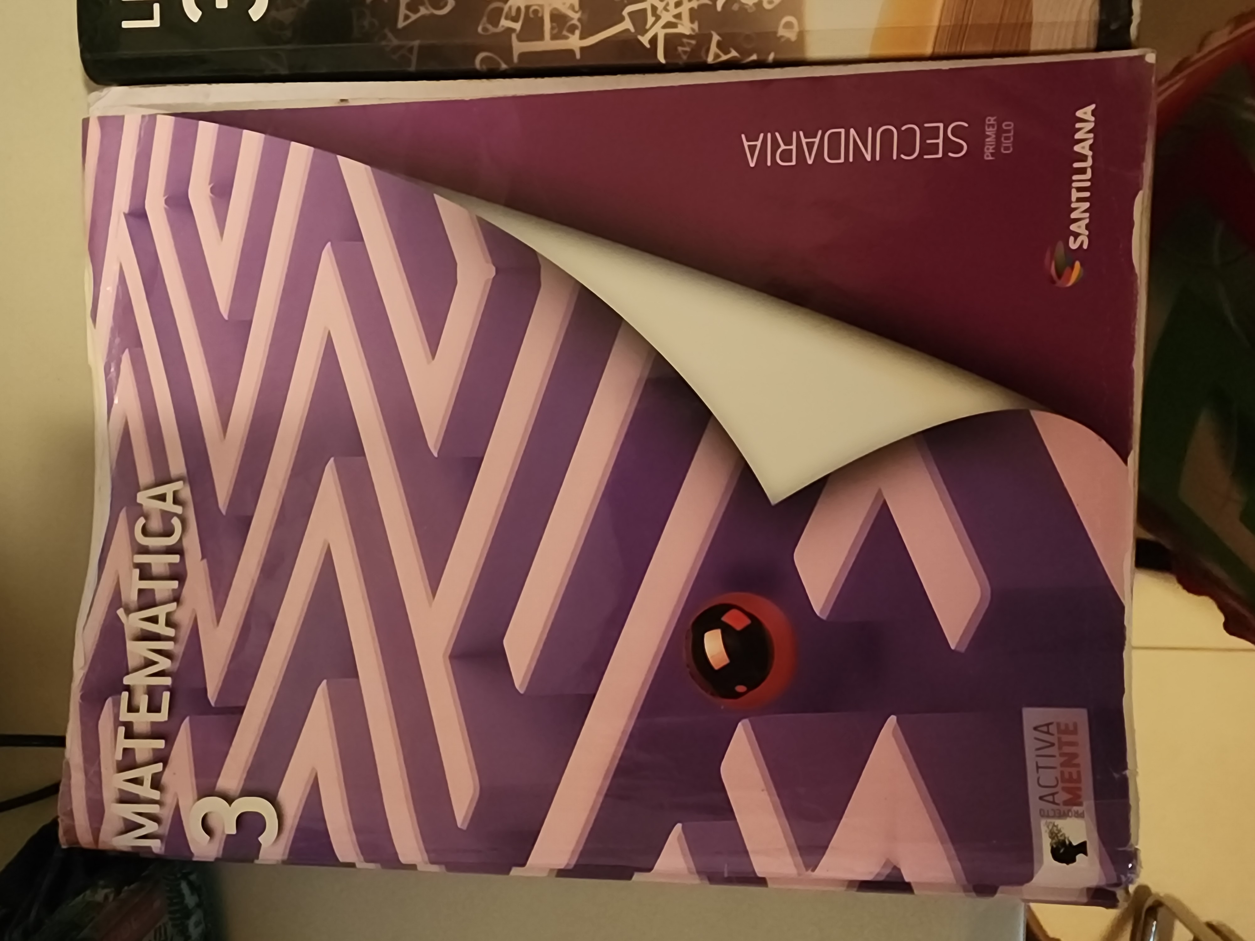 libros y revistas - Libros y cuadernillos 3ero de Secundaria 2