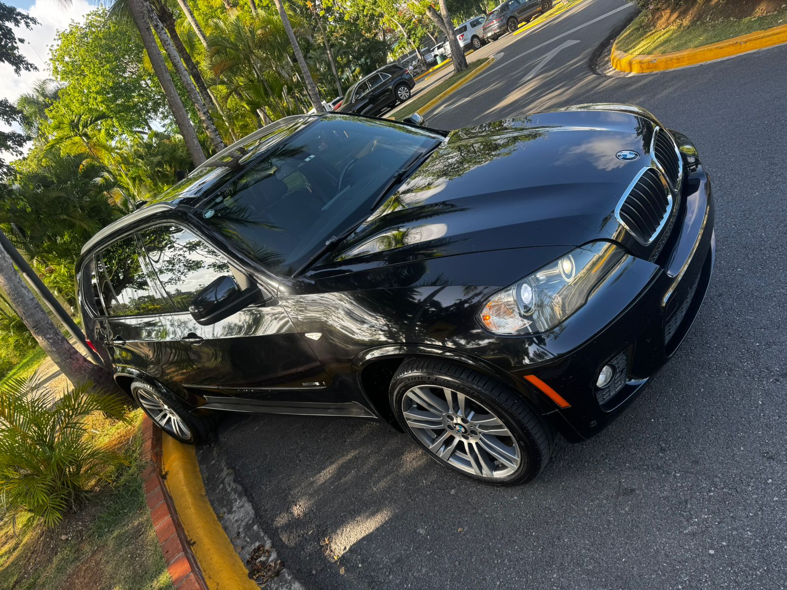 jeepetas y camionetas - BMW X5 xDrive35i Año 2011 US$14,500 (negociable) 0