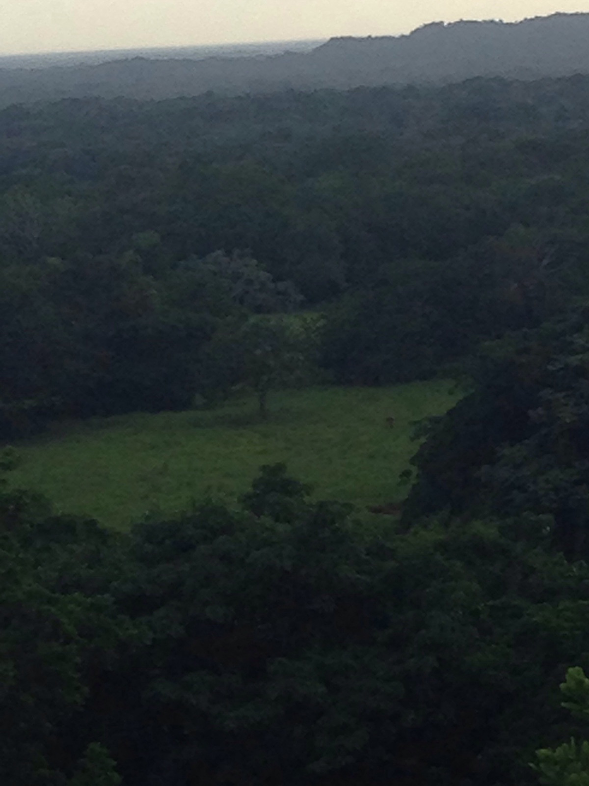 solares y terrenos - Vendo finca ganadera de oportunida en Bayaguana 3