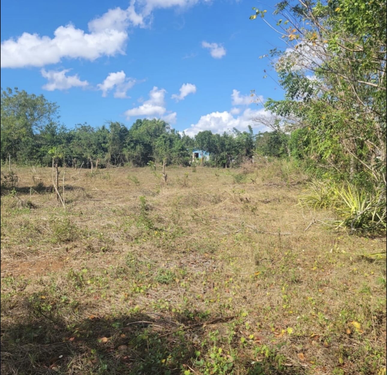 solares y terrenos - Se vende hermoso solar, en el municipio de los llanos San pedro de macoris. 1