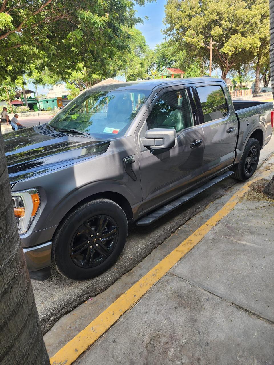 jeepetas y camionetas - FORD F-150 XLT SPECIAL EDITION 2021-Poder y estilo 1