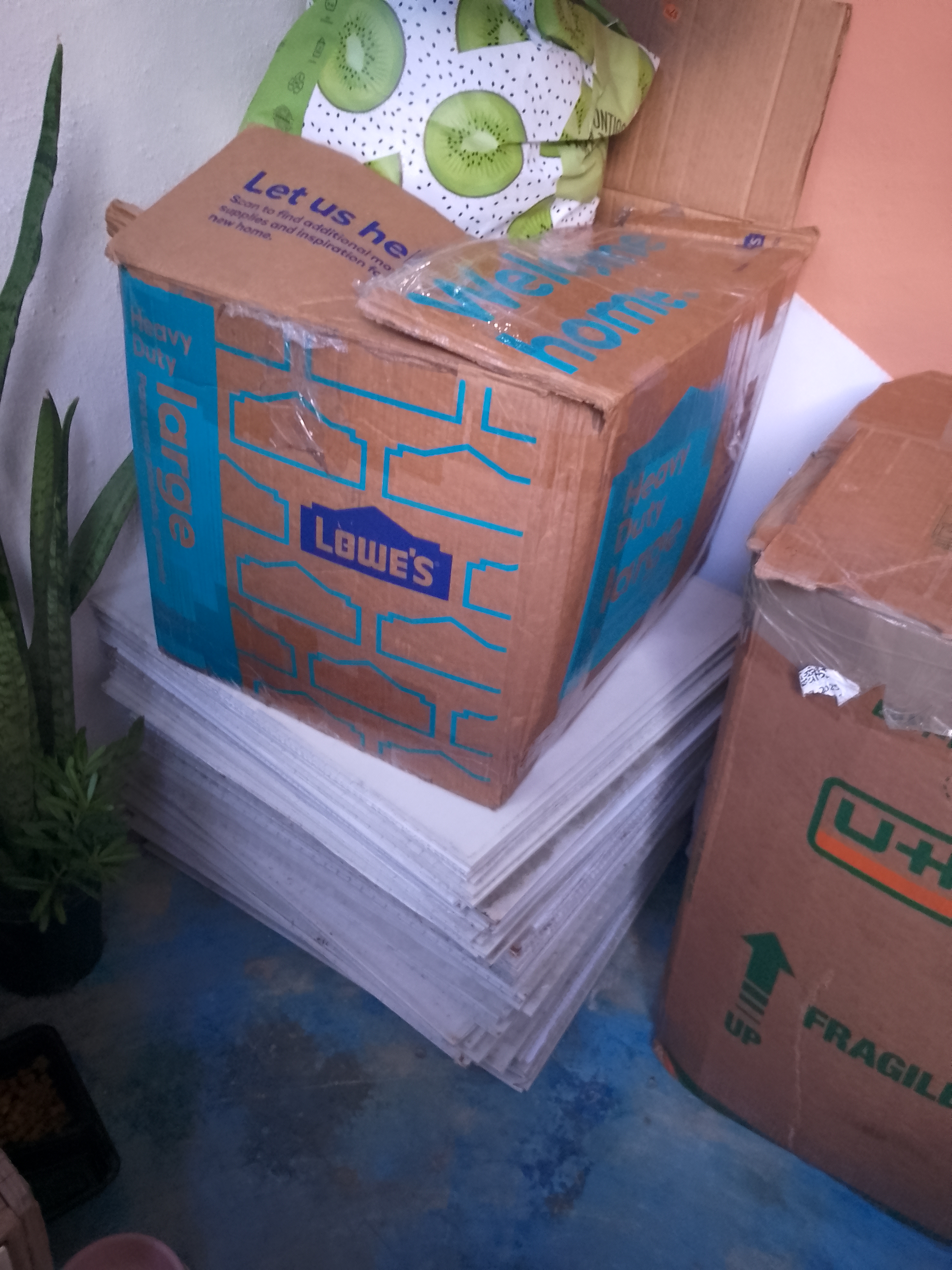 ropa para mujer - vendo dos cajas de ropa nuevas y usadas zapatos nuevos y usados y muchas cosas . 1