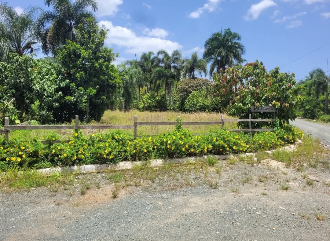 solares y terrenos - Vendo Solar de 1,200 mt2 en Villa Altagracia 0