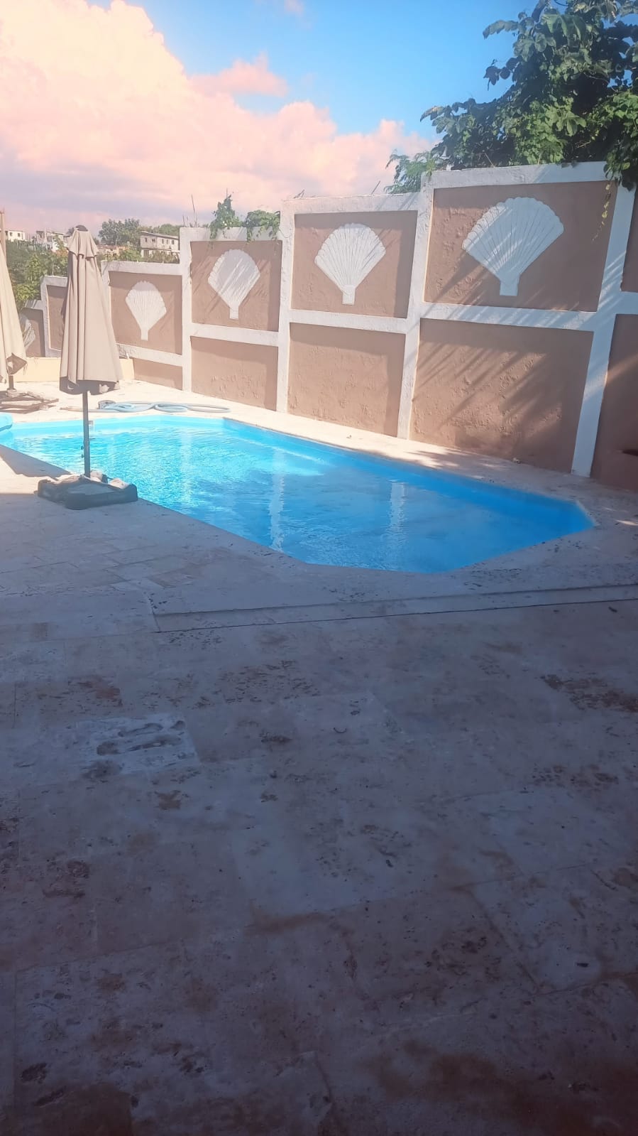 apartamentos - Aparta-estudio en alquiler  5