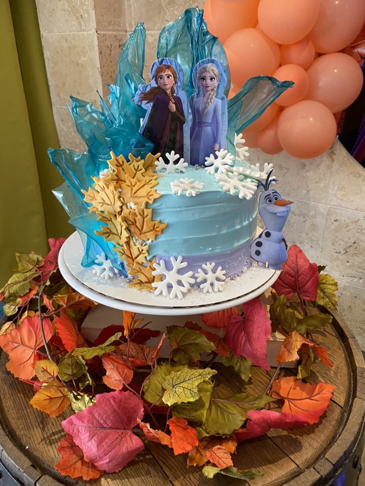 servicios profesionales - Artículos Nuevos y Usados para Cumpleaños de Frozen II  3