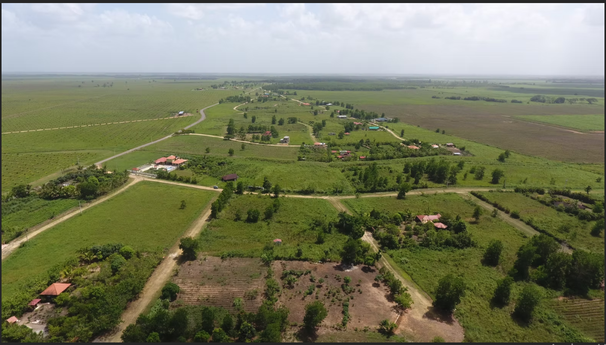 solares y terrenos - Venta de solares en Bayaguana 1