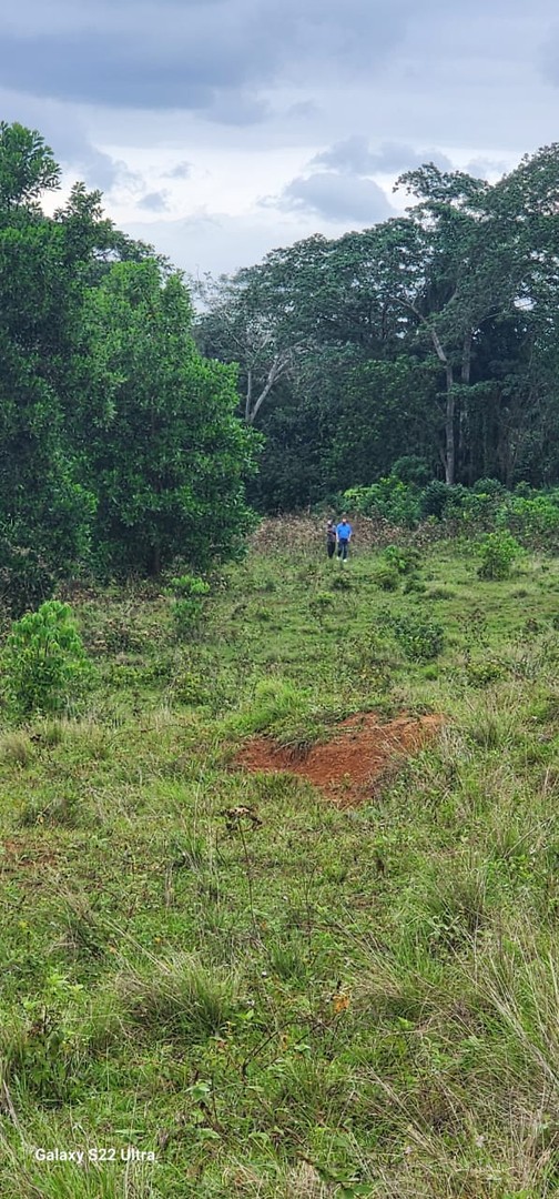 solares y terrenos - Finca Venta Cotui 1