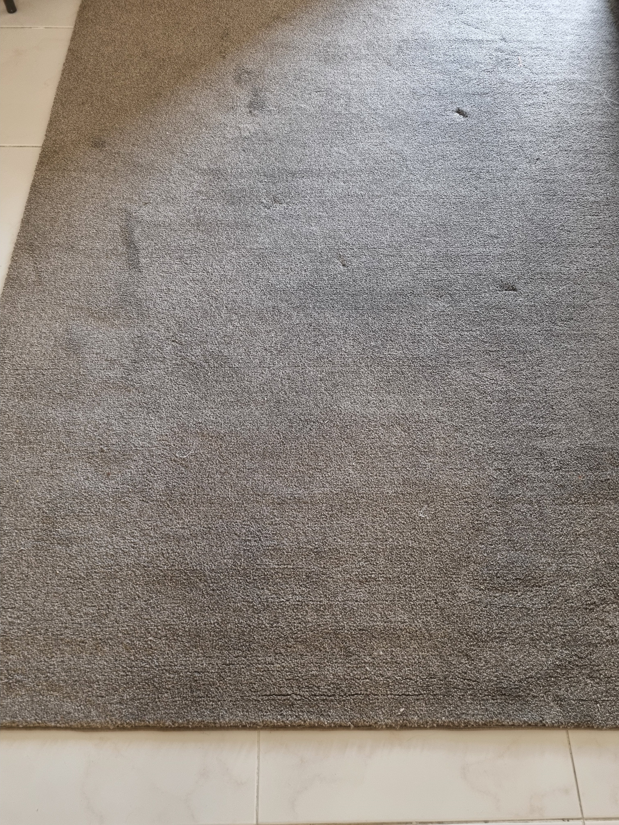 decoración y accesorios - Alfombra gris ancho 59 pulgadas y largo 89 pulgadas 3