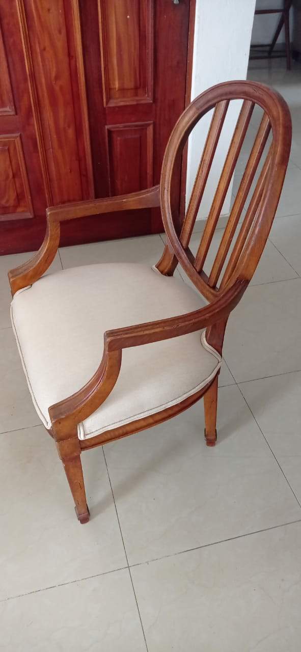 muebles y colchones - comedor 10 sillas
