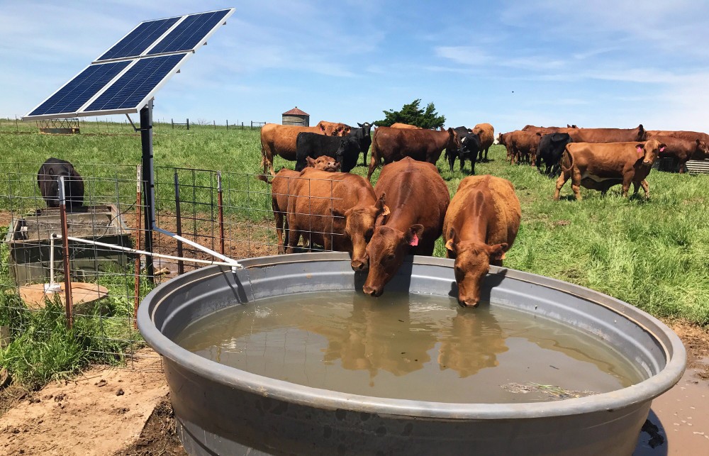equipos profesionales - Bombeo Solar para uso Agricola, Ganadero o Fincas 0