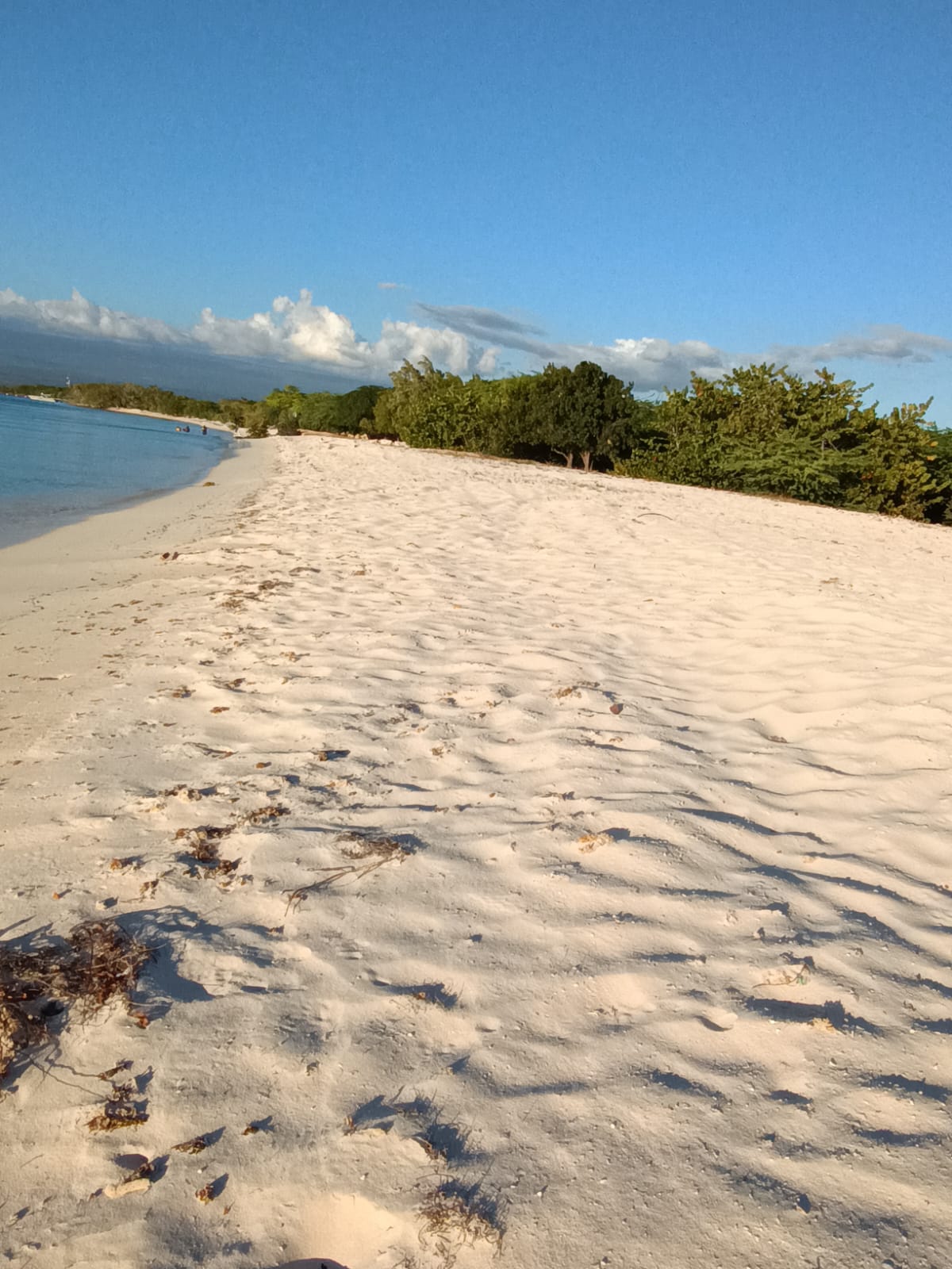 solares y terrenos - VENDO TERRENO EN LA PLAYA PEDERNALES POR LOTES  1
