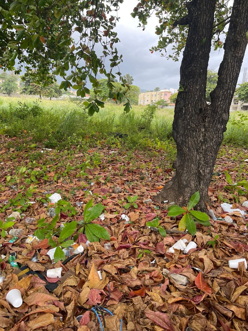 solares y terrenos - Terreno de Venta en el Malecon, Puerto Plata  1