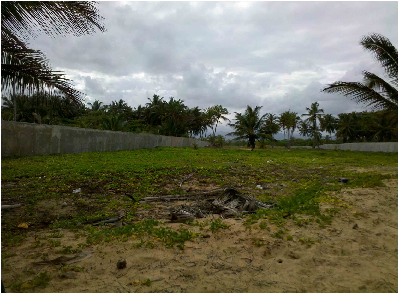 solares y terrenos - TERRENO CON PLAYA EN UVERO ALTO 1.5 MILONES METROS o 900,000 o  600,000, PUNCA C 9