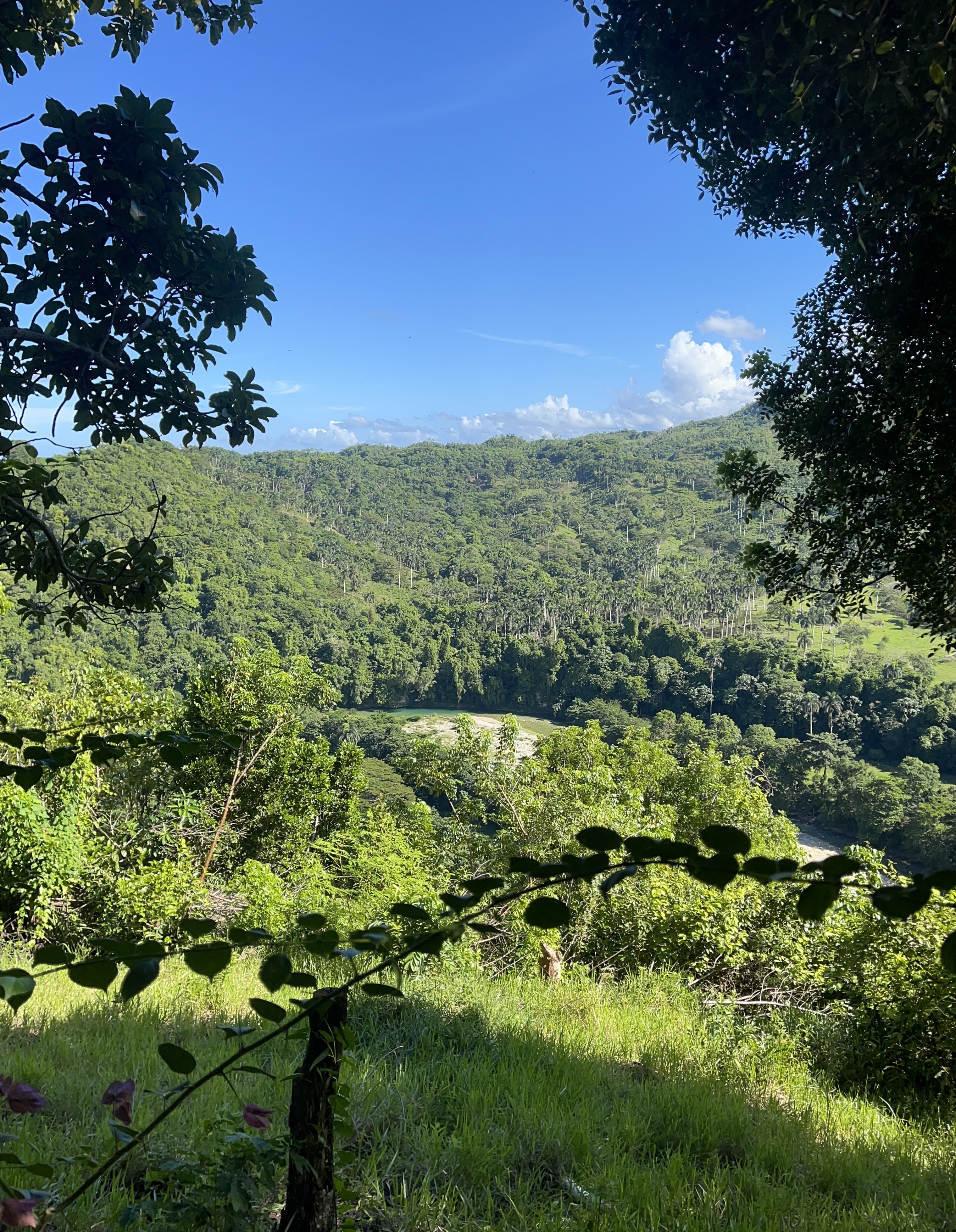 solares y terrenos - Venta de finca en Sosúa 3500 t  4
