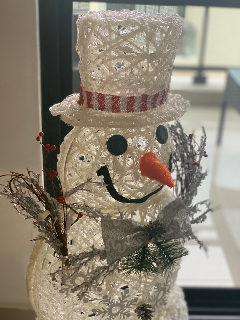 decoración y accesorios - Navidad/Árbol/Muñeco de nieve con luces. 
 4