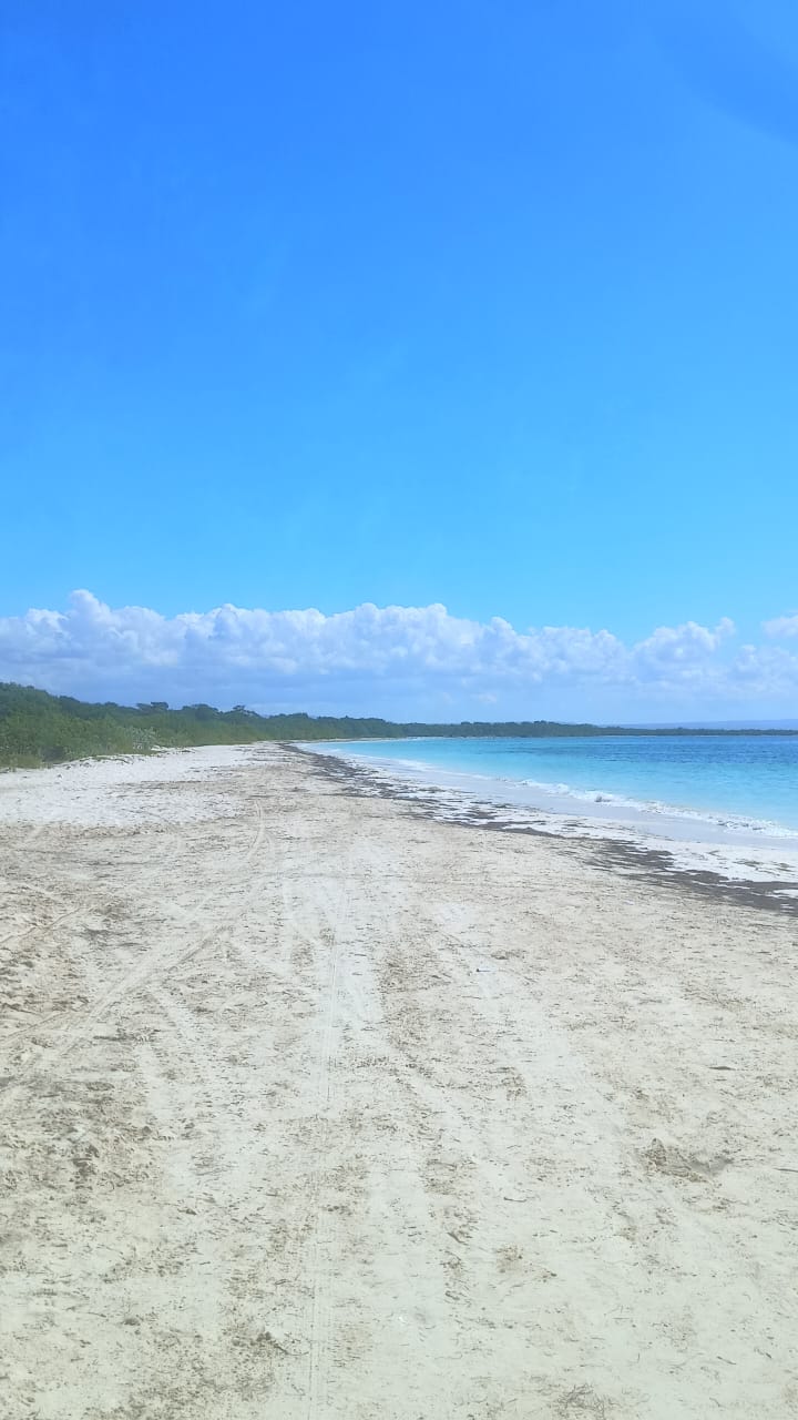 solares y terrenos - VENDO TERRENO EN LA PLAYA PEDERNALES POR LOTES  2
