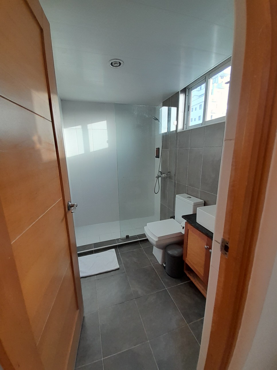 apartamentos - Rento apartamento amueblado en Evaristo Morales 8