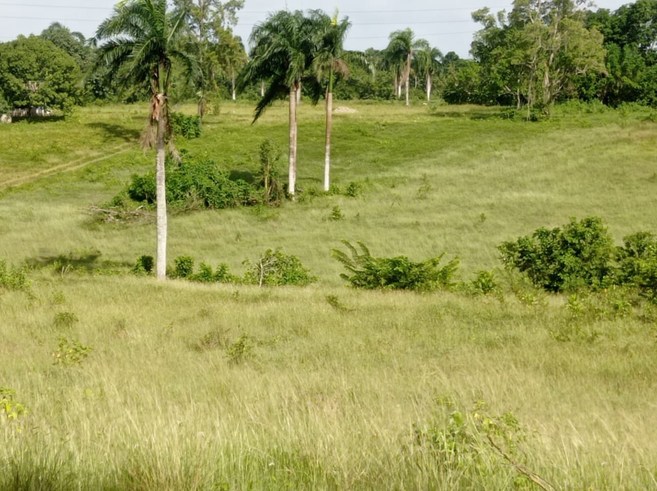 solares y terrenos - Solares en Santo Domingo norte. 8