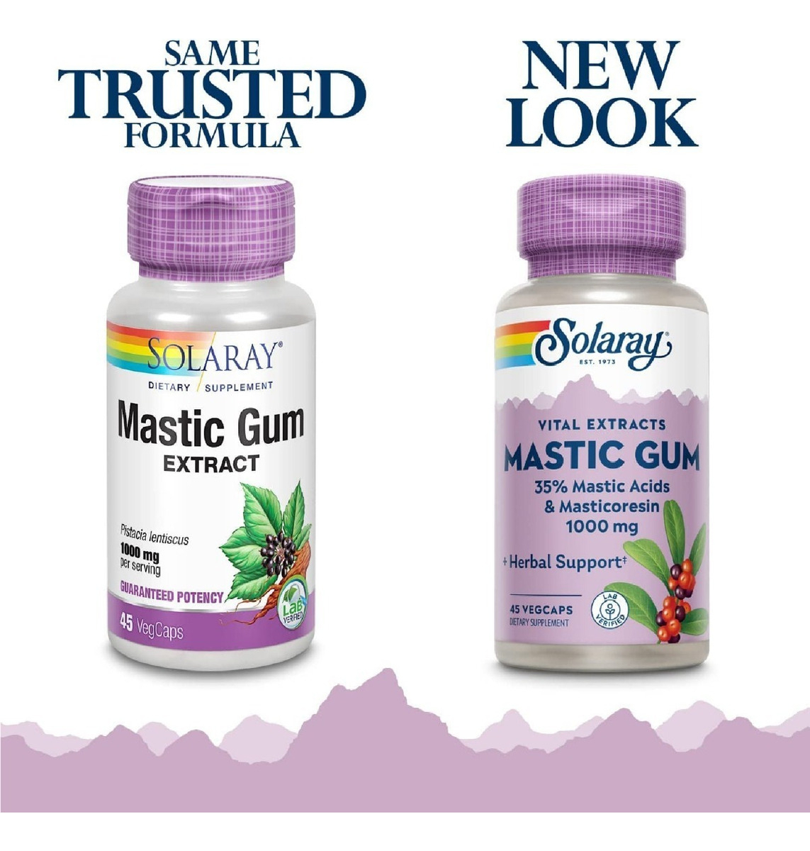 Salud y Equipamiento Médico - Solaray Mastic Gum Extract 500 Mg - 45 Capsulas 2