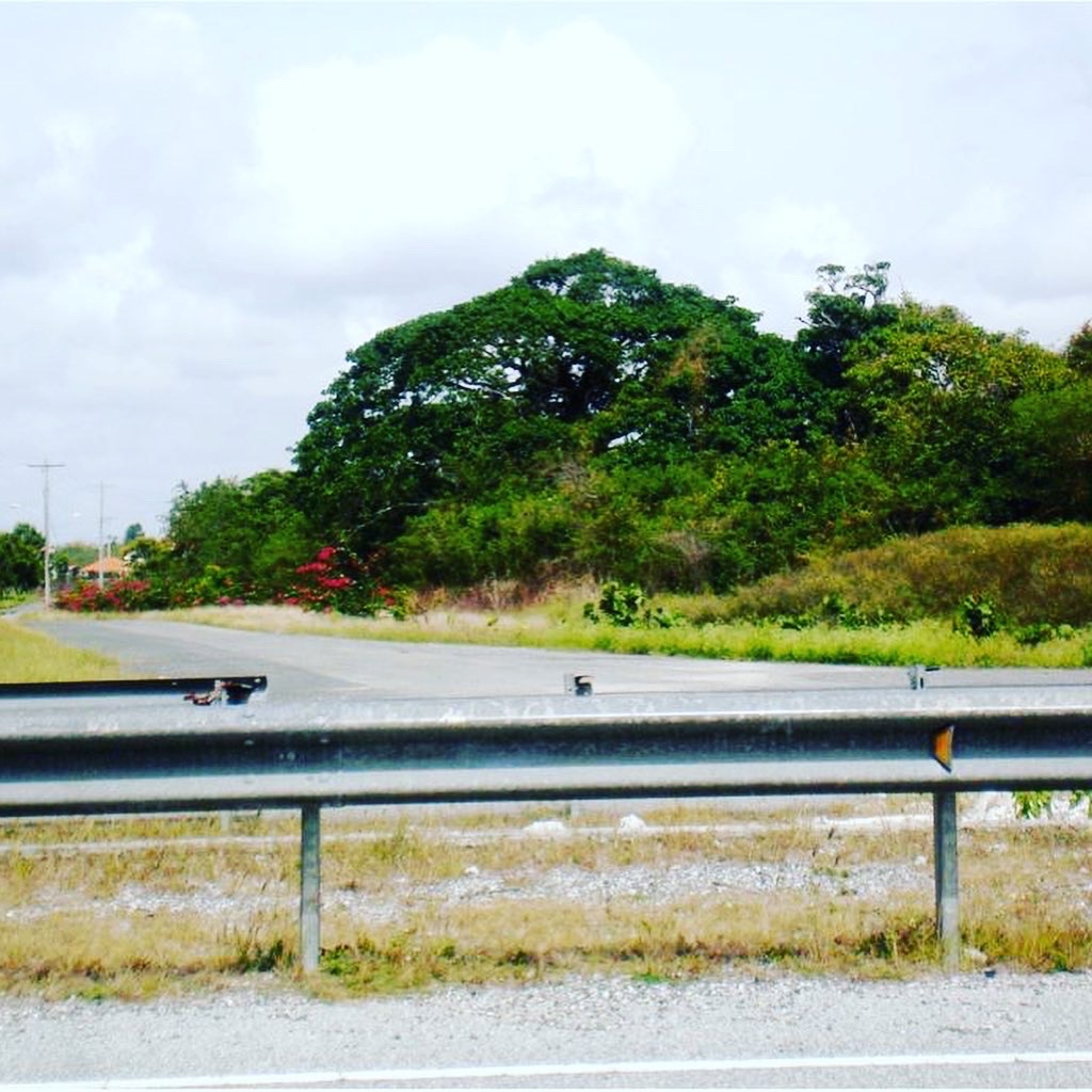 solares y terrenos - Terreno Juan Dolio Autovia del Este
 1