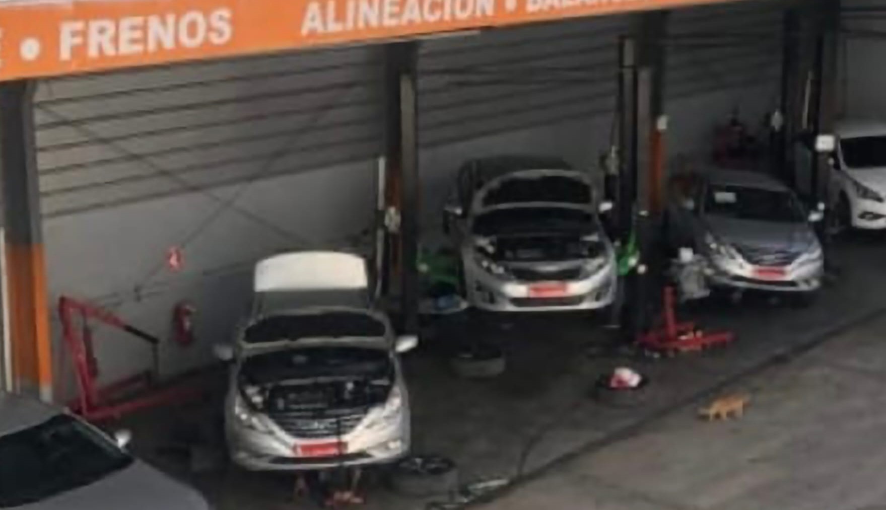 equipos profesionales - ELEVADORES HERCULES 1