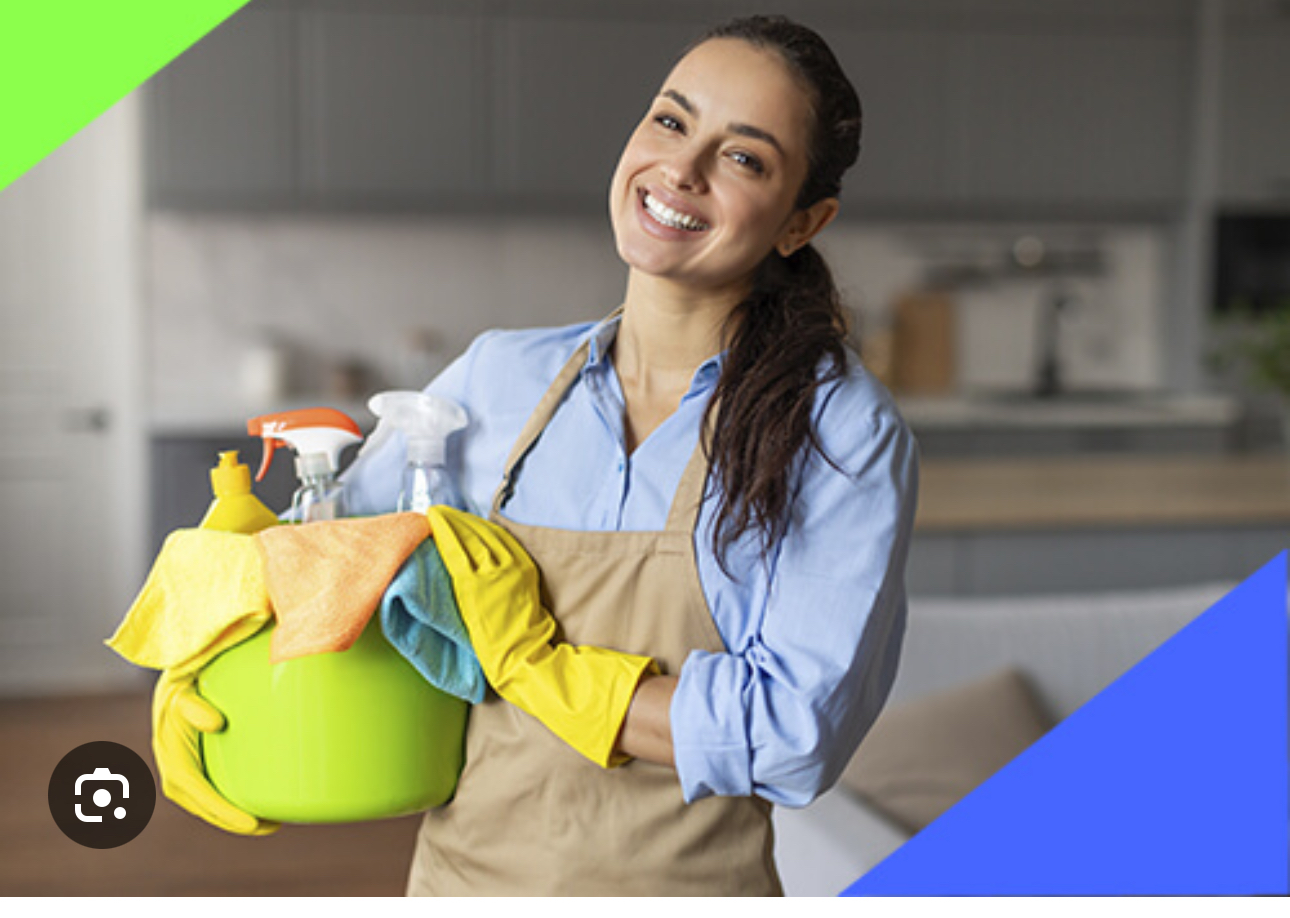 servicios profesionales - Somos agencia de servicios doméstico  0