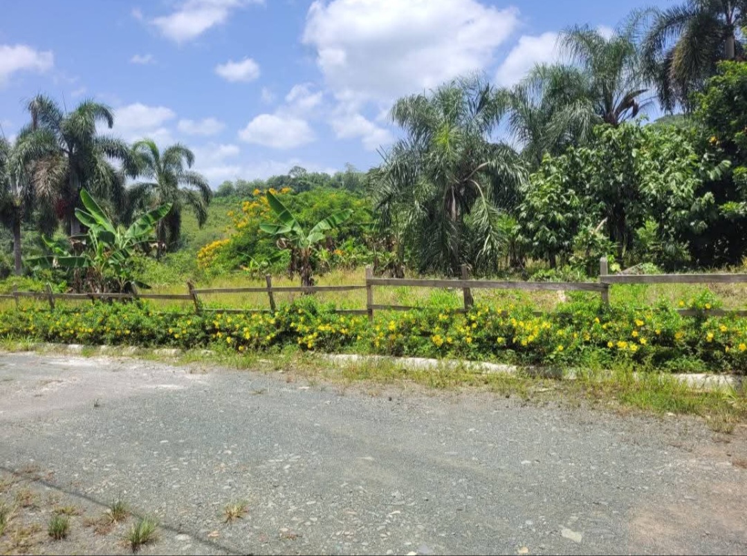 solares y terrenos - Vendo Solar de 1,200 mt2 en Villa Altagracia 1